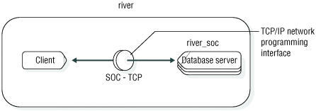 begin figure description - This  figure  shows a client application and a database server named river_soc that are connected through a TCP/IP programming interface. - end figure description