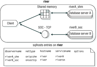 begin figure description - In this figure, a client application and the river_shm database server communicate with each other through shared memory. The same client application and a database server named river_soc are connected through a TCP/IP programming interface. Text below this figure contains more information. - end figure description