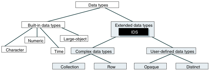 Begin figure description. Labelled rectangles show two hierarchies of "built-in" and "extended" (for IDS only) data-type categories, as discussed individually later in this chapter. End figure description