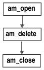 Flowchart shows am_open pointing to am_delete, pointing to am_close.